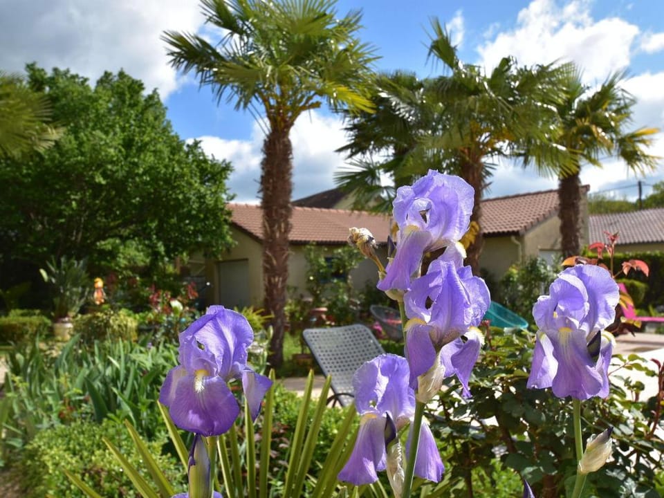 Beautiful holiday home with courtyard Vacation rental in Occitanie