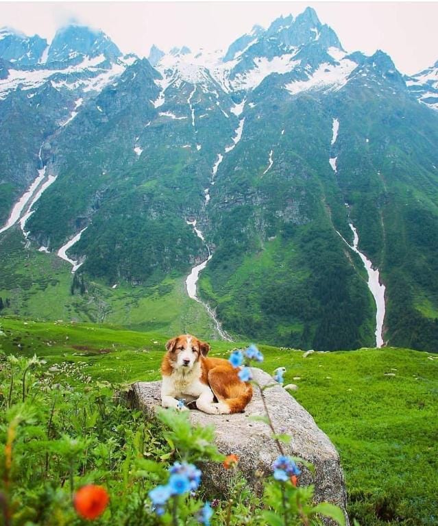 SUMMER CAMPING MALANA Vacation rental in Himachal Pradesh