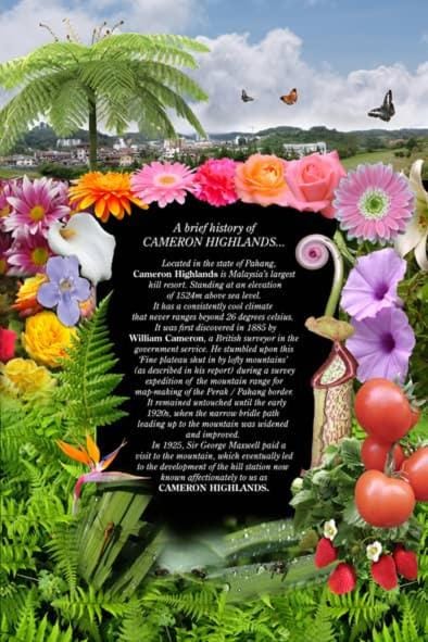 Hillview Inn Cameron Highlands PROMO Hotel in Tanah Rata