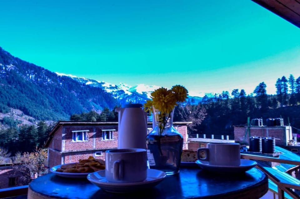 Tourist Nest Old Manali Diaries Hotel in Manali