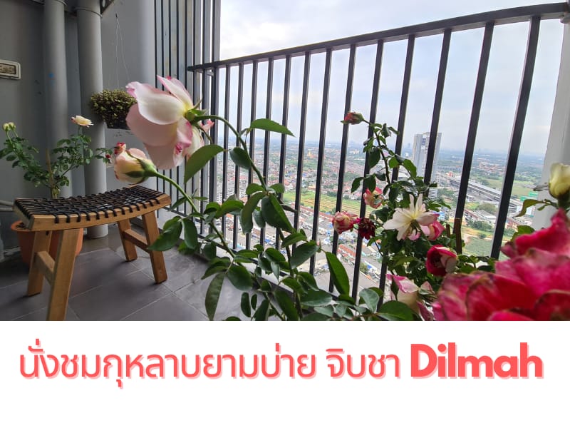 Monthly Condo Central Westgate Apartment in Bangkok