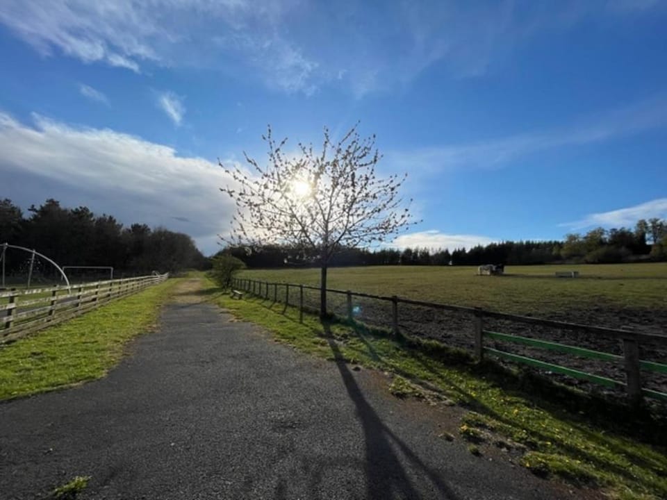 The Old Colliery Stables Chalet in Lanchester