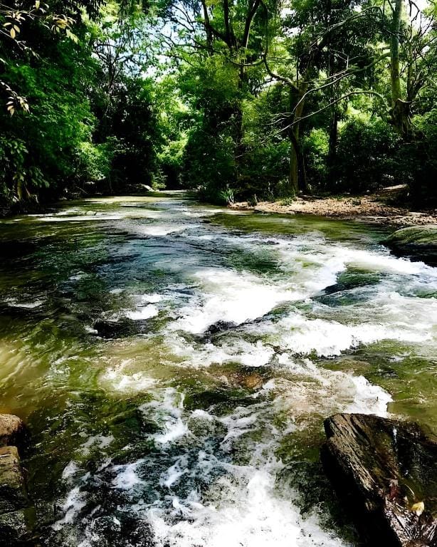 SAYON RIVER COTTAGE AND ECO GARDEN Hotel in Uva Province, Sri Lanka