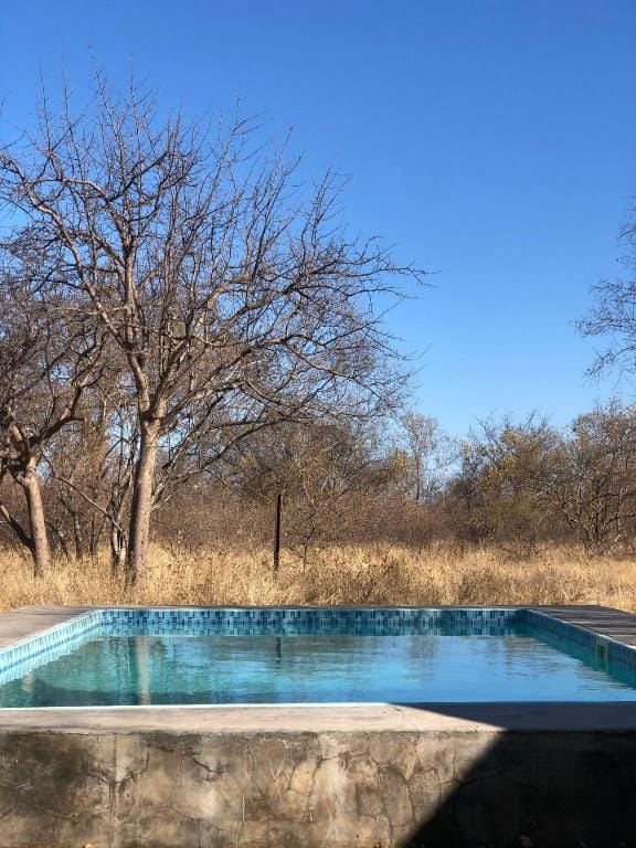 Simba Safaris Private Game Lodge with Predators Vacation rental in South Africa