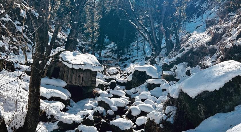 Zevibes Cafe & Guesthouse Apartment in Himachal Pradesh