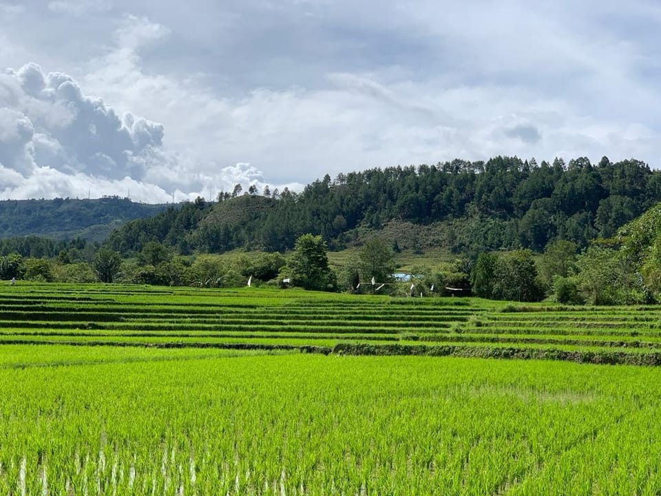 Rumah 4G Villa in Indonesia