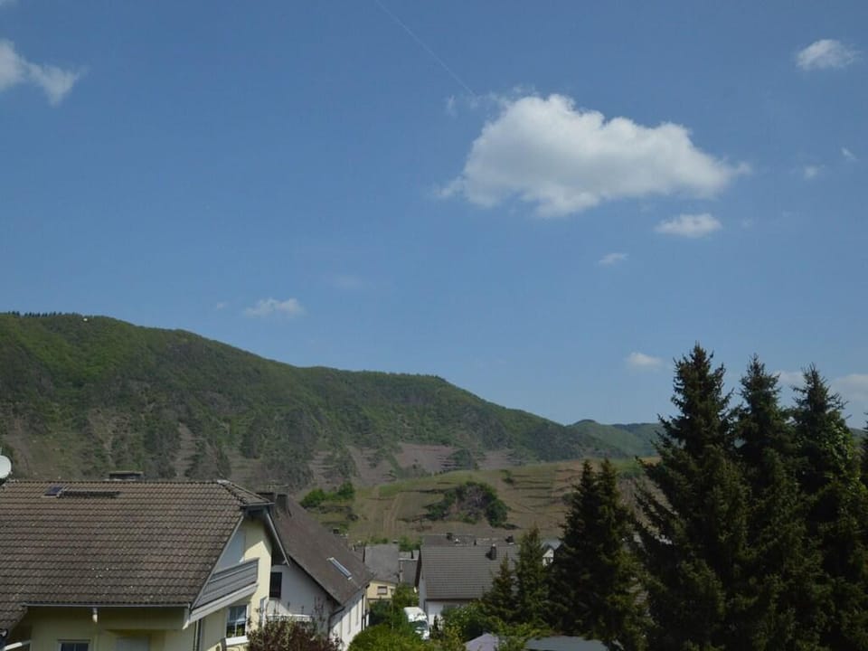 Holiday home in the Eifel with balcony Vacation rental in Ediger-Eller