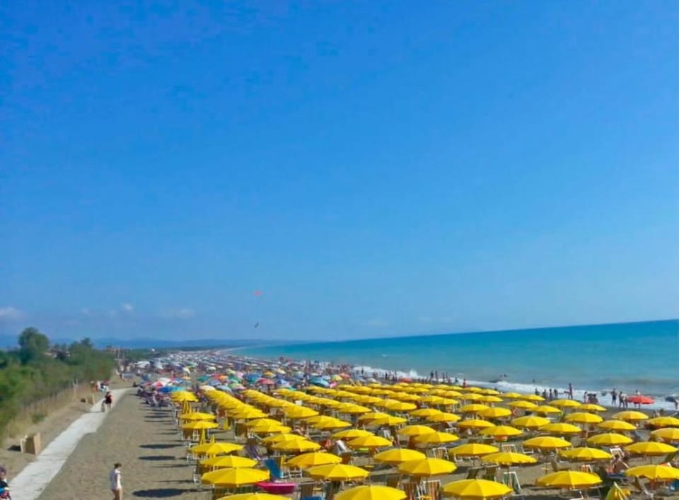Seaside Apartment - Tuscany - Marina di Bibbona Riviera degli Etruschi Apartment in Tuscany