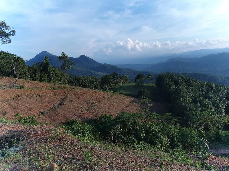 Misty View Point EcoResort  Camping site Ratnapura Vacation rental in Sri Lanka