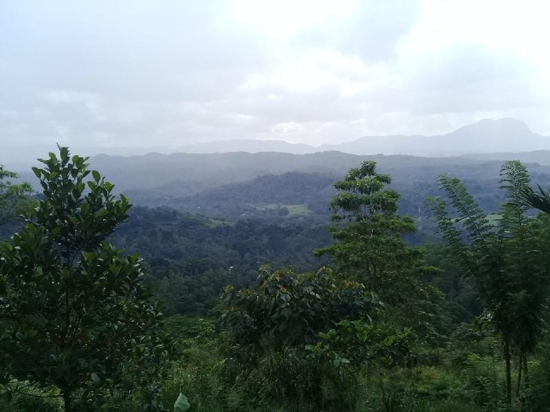 Misty View Point EcoResort  Camping site Ratnapura Vacation rental in Sri Lanka