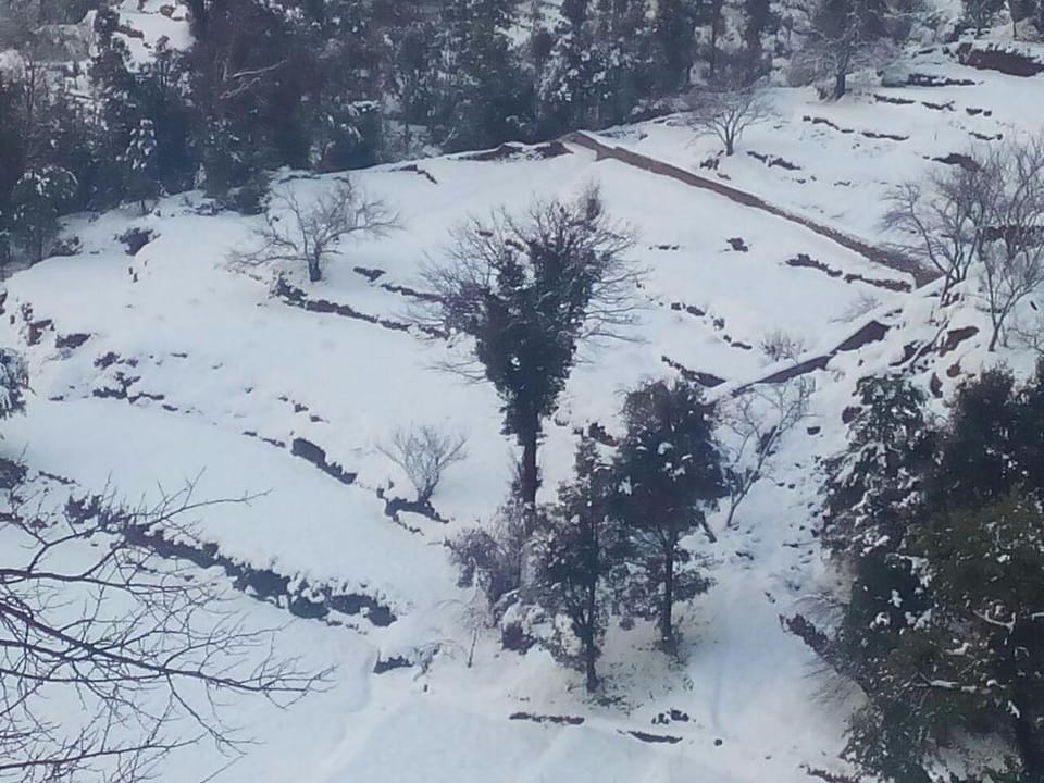 Kennys Kottage Campground/ 
RV Resort in Uttarakhand