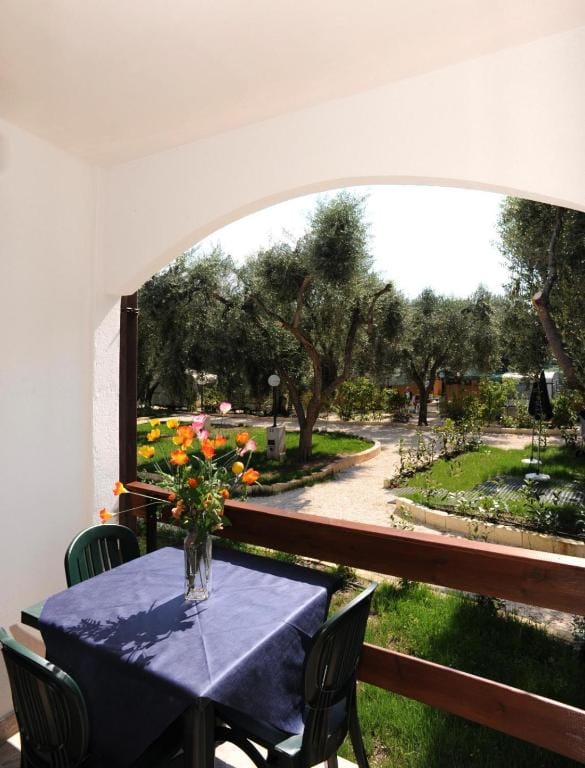 Holiday Apartment orchidea with swimming pool and private beach Vacation rental in Province of Foggia