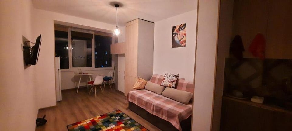 Your cozy studio apartment  Apartment in Kiev City - Kyiv