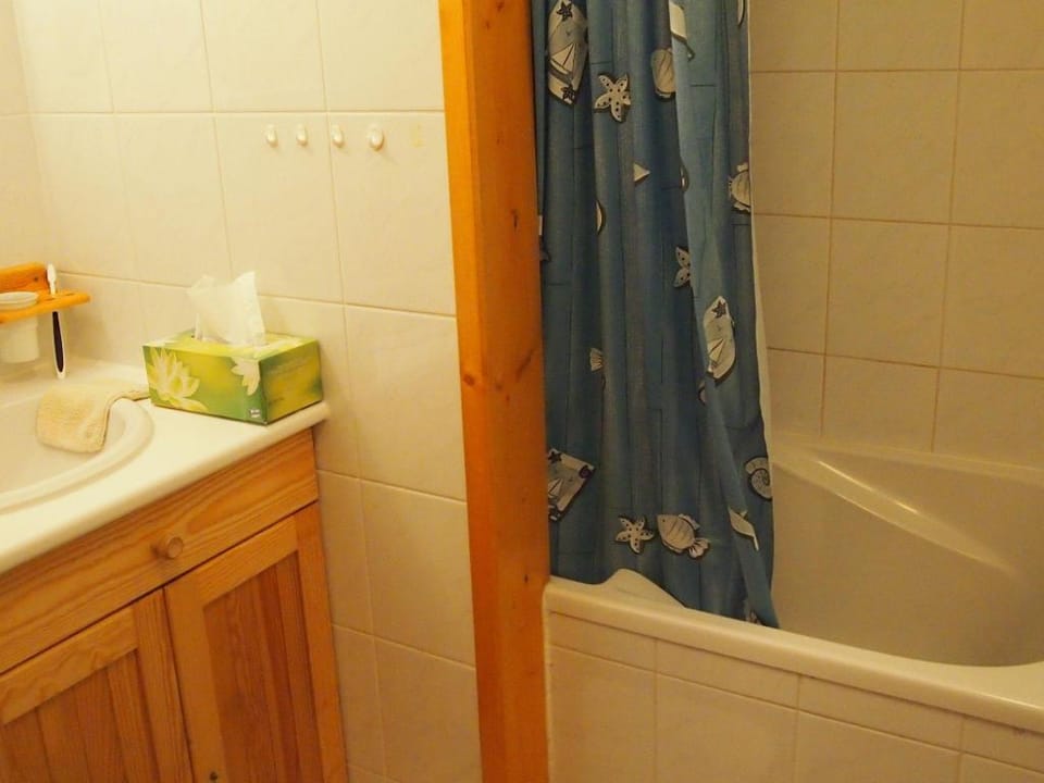 Chalet in Vallandry near Paradiski Ski Area Vacation rental in Landry