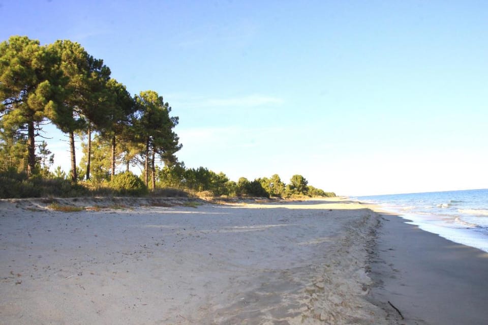 Studio apartment on the sea for couples or families Apartment in Ghisonaccia