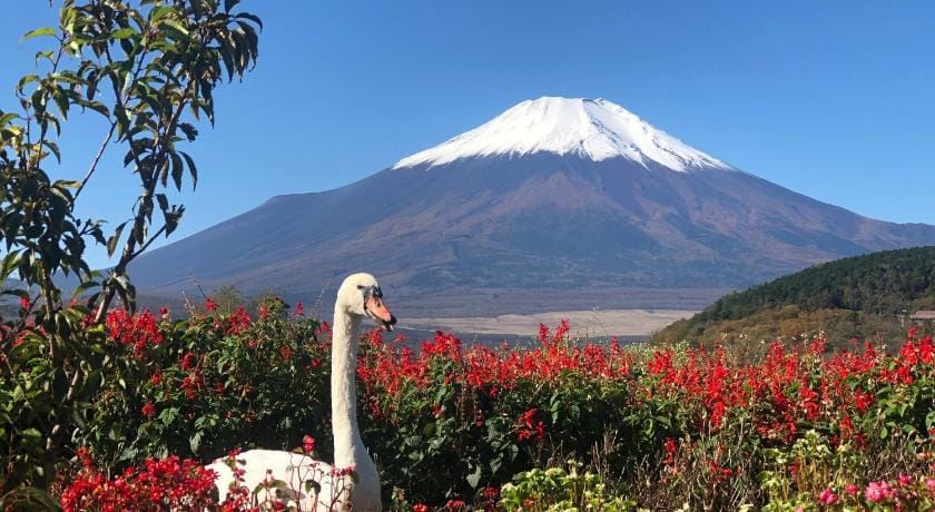 Mount Fuji Castle  2 Vacation rental in Kanagawa Prefecture