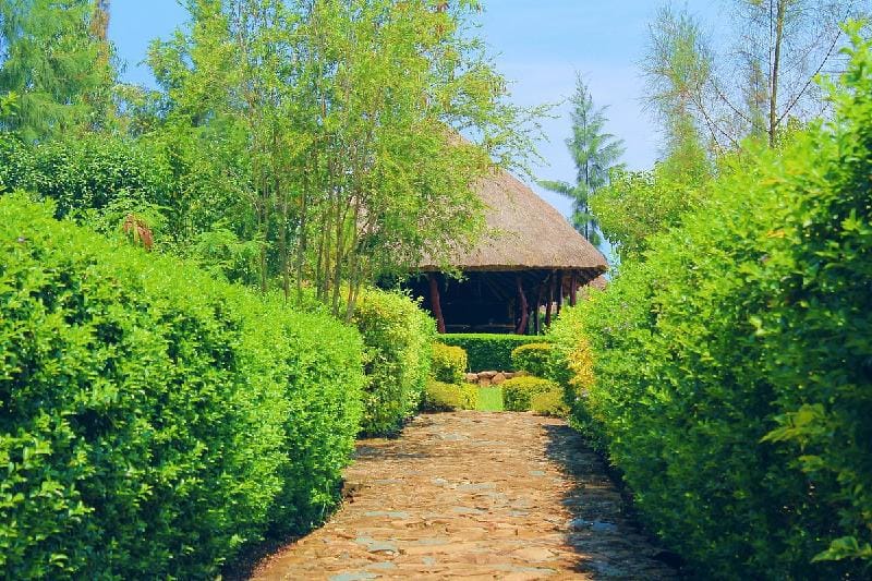 Nguge Hills Lodge & Wellness Retreat Lodge in Uganda