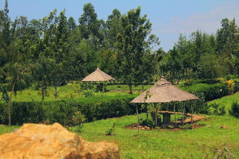 Nguge Hills Lodge & Wellness Retreat Lodge in Uganda