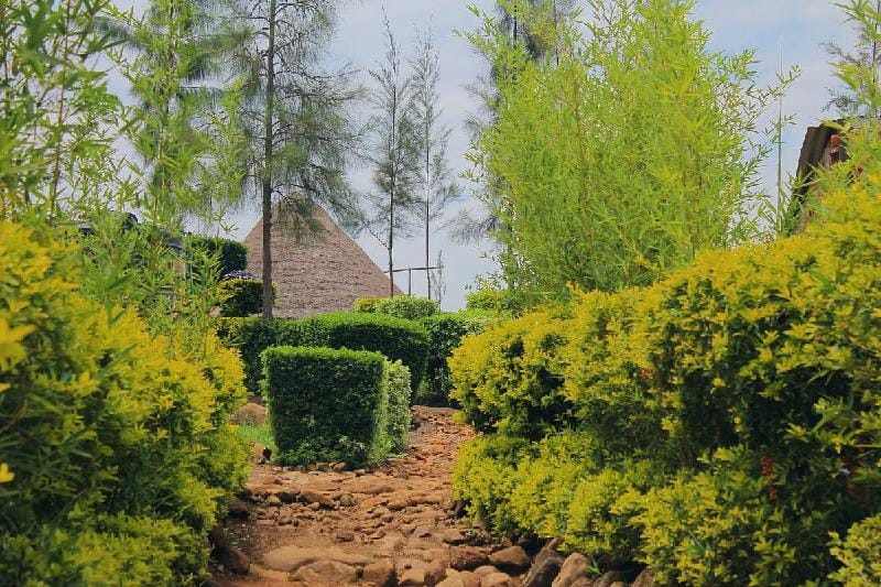 Nguge Hills Lodge & Wellness Retreat Lodge in Uganda