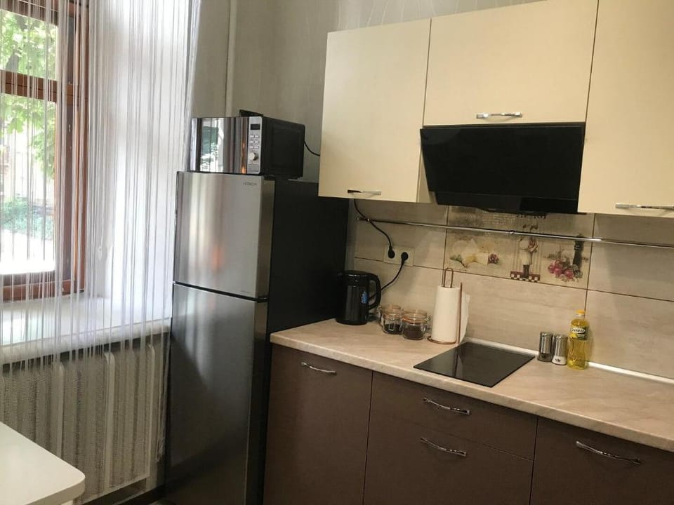 Dmitrievskaia street Apartment in Kharkiv