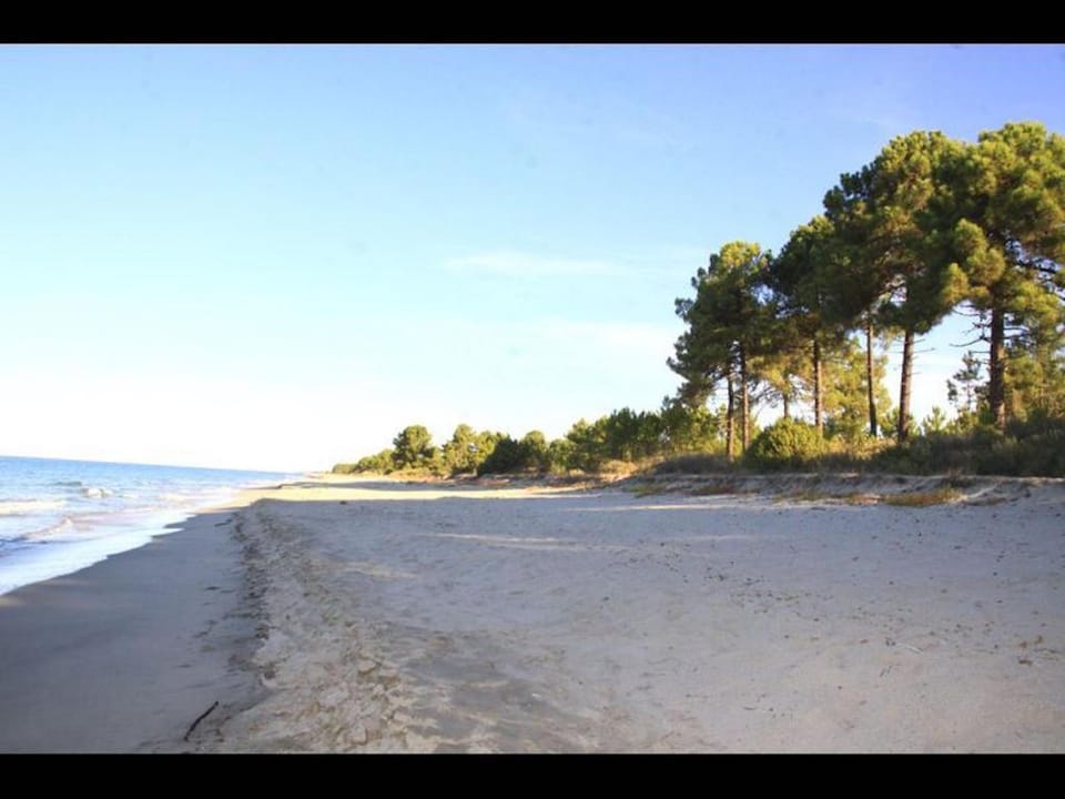 Apartment for 8 people with 2 bathrooms, on the sea Apartment in Ghisonaccia