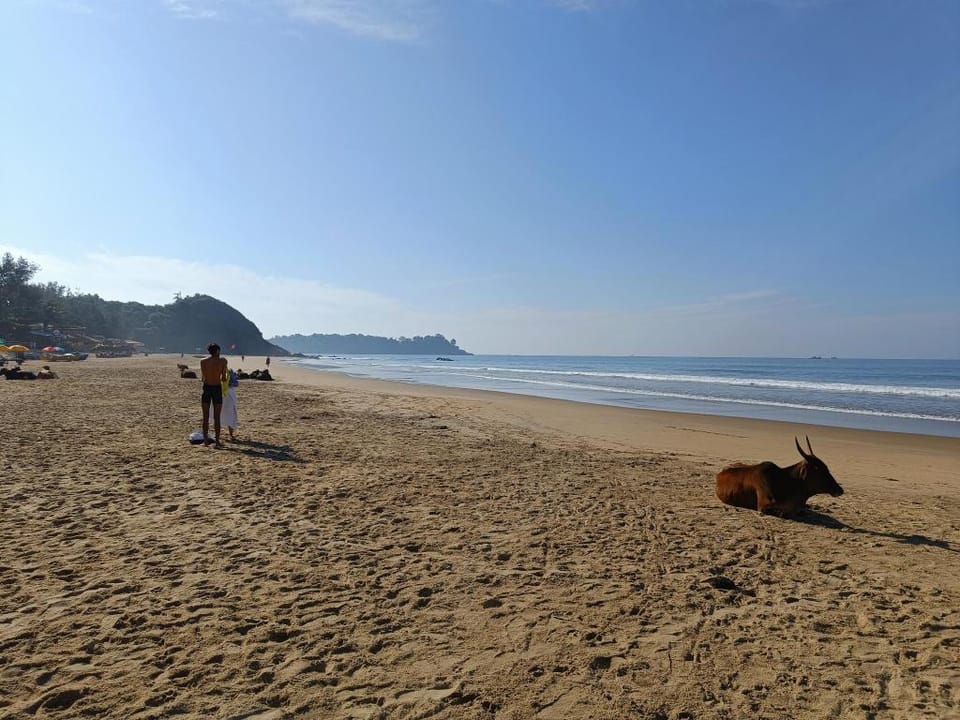 Patnem Beach Park Apartment Vacation rental in Canacona