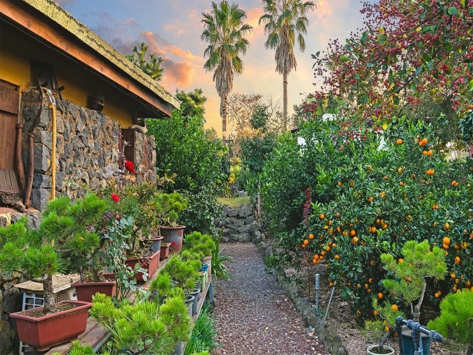 Diorem Pension Bed and Breakfast in South Korea