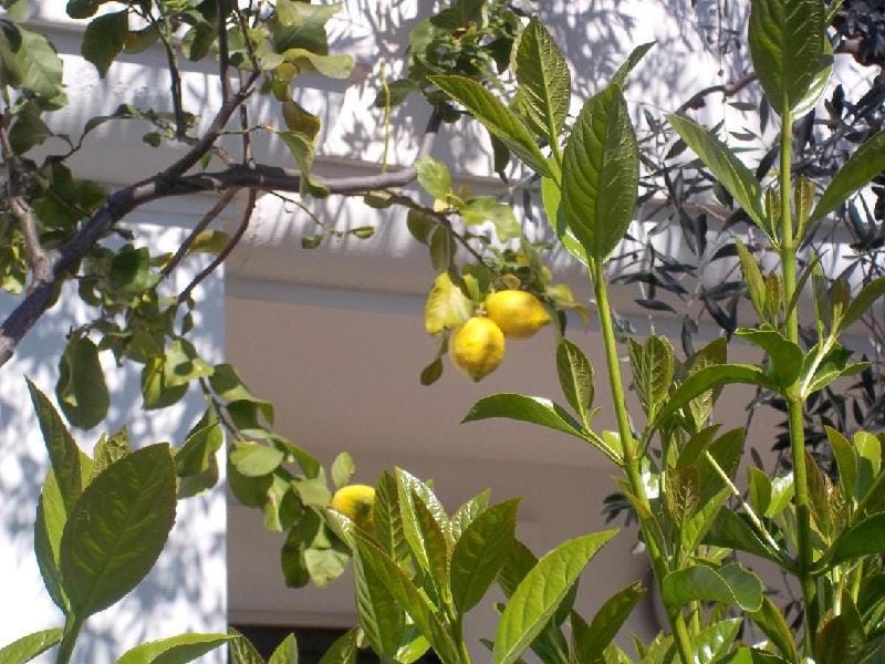 melograno Holiday Home with Swimming Pool and Private Beach Vacation rental in Province of Foggia