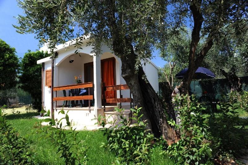 Holiday Apartment orchidea with swimming pool and private beach Vacation rental in Province of Foggia