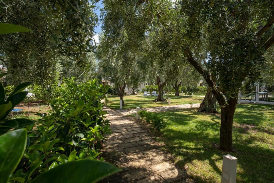 Holiday Apartment orchidea with swimming pool and private beach Vacation rental in Province of Foggia