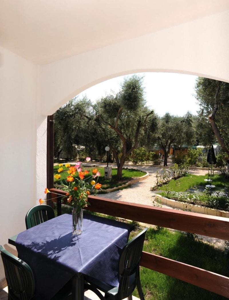 Holiday Apartment orchidea with swimming pool and private beach Vacation rental in Province of Foggia