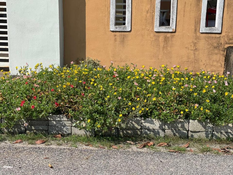 Ara Homestay MAK CHILI Vacation rental in Terengganu, Malaysia
