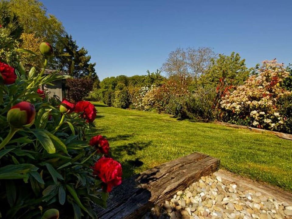 Charming cottage in a farm with views Vacation rental in Wallonia, Belgium