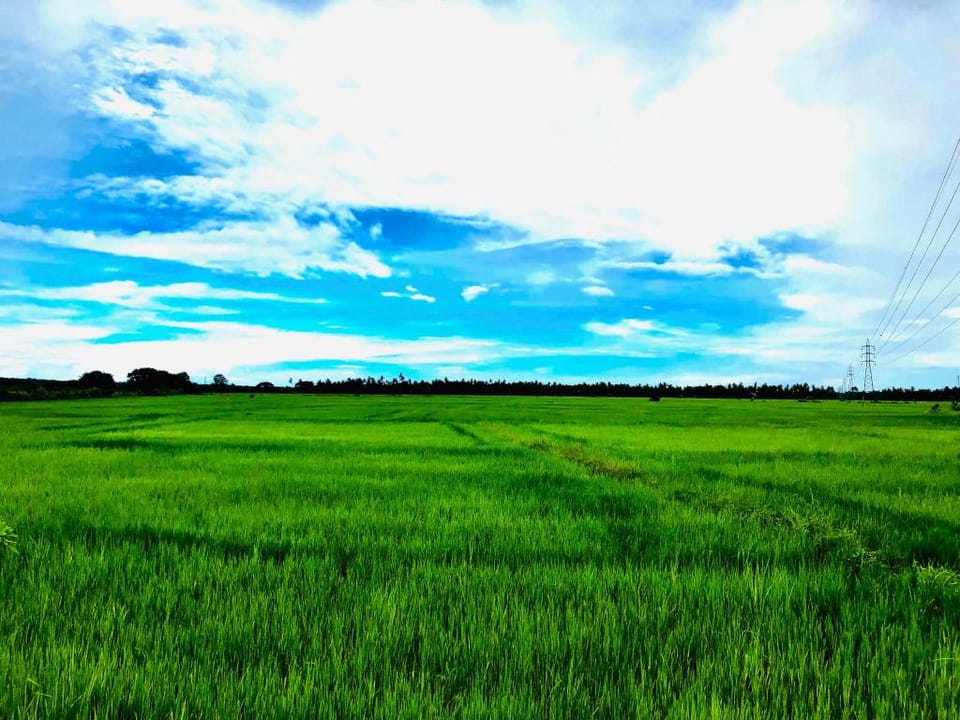 Bird Scenery Leisure Resort Apartment in Southern Province
