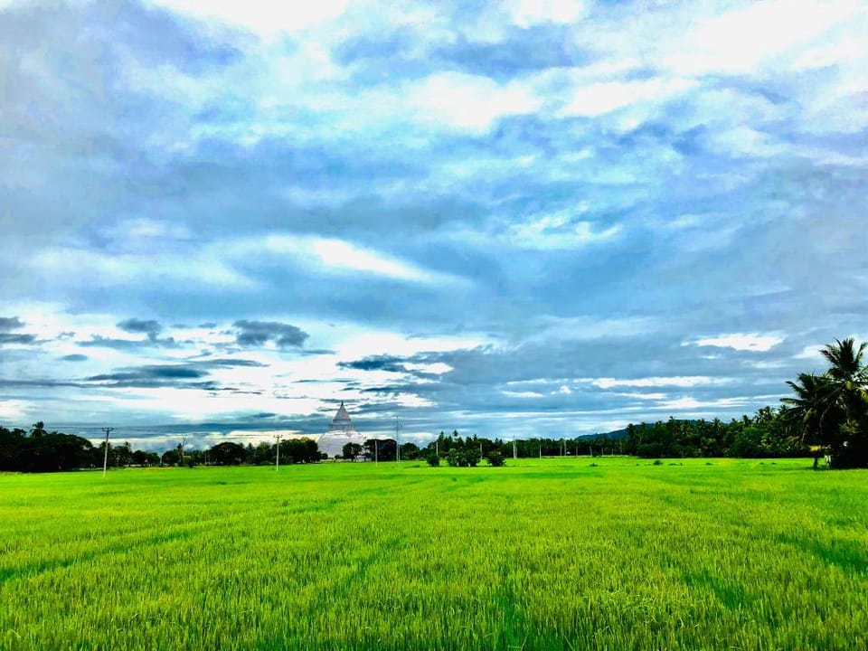 Bird Scenery Leisure Resort Apartment in Southern Province