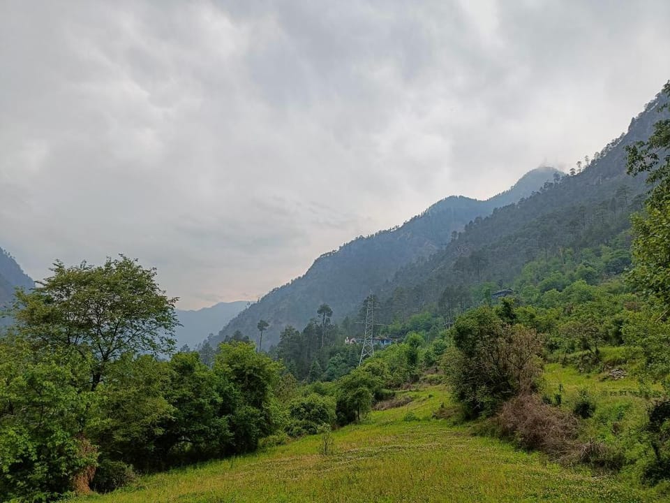 The Pharaoh's Nest Hotel in Himachal Pradesh
