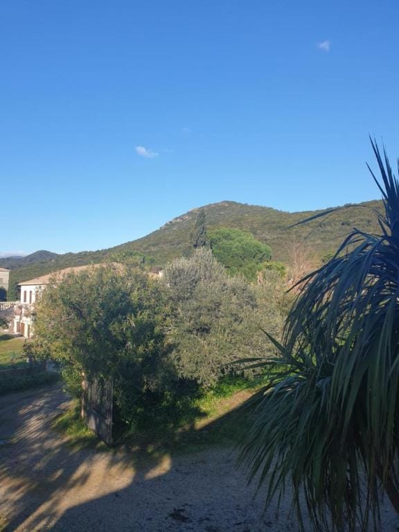 A Teppa, le Grevillea, Loft Apartment in Corsica