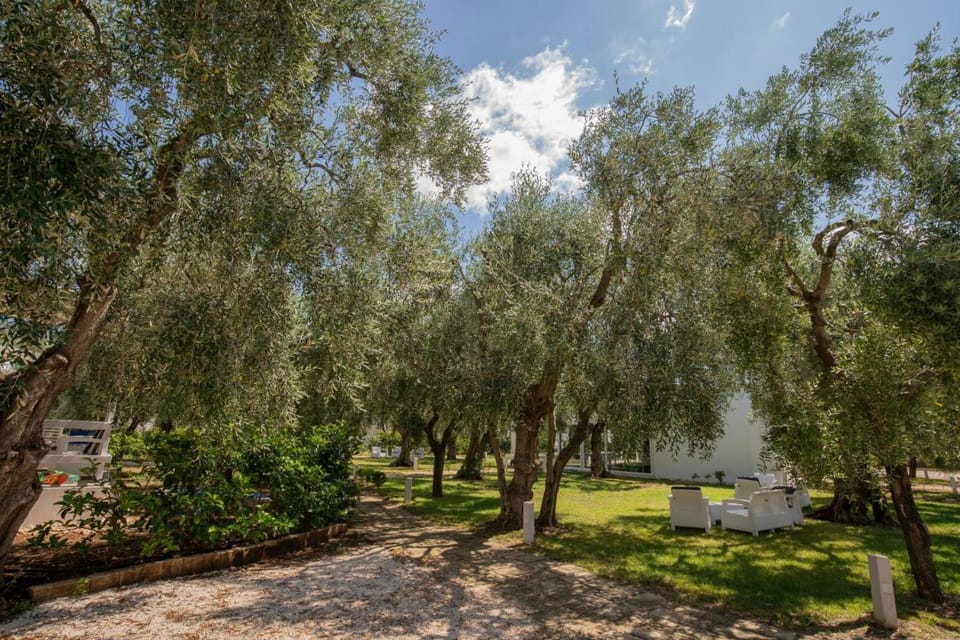 Apartment ulivo with pool and private beach Vacation rental in Province of Foggia