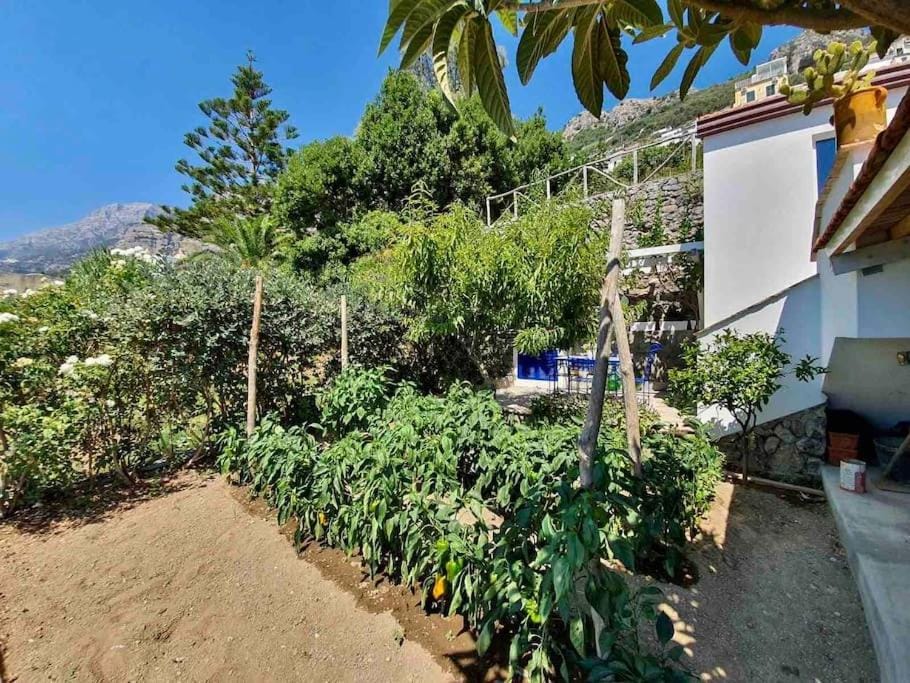 Celebrity Suite - Big Terrace on the Sea Vacation rental in Praiano
