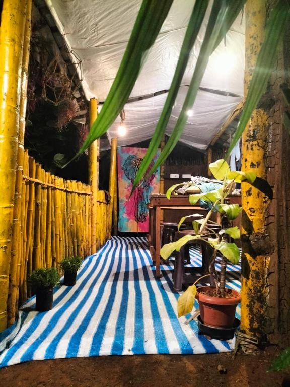 Green Ray Villa in Kerala