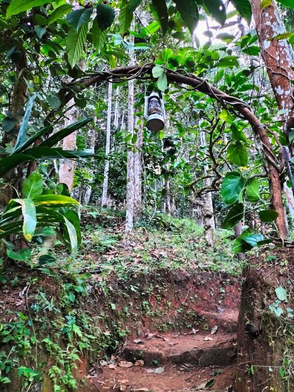 Green Ray Villa in Kerala