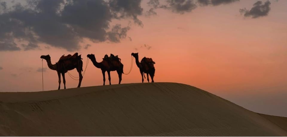 Garh Rajputana Camp Luxury tent in Sindh