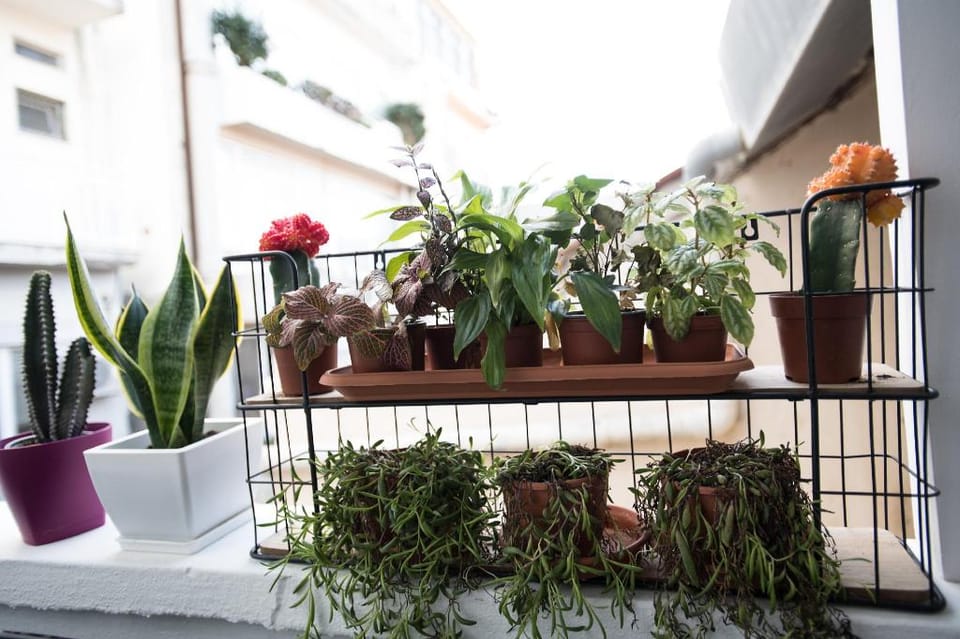 The Blue apartment in the heart of Heraklion Apartment in Heraklion