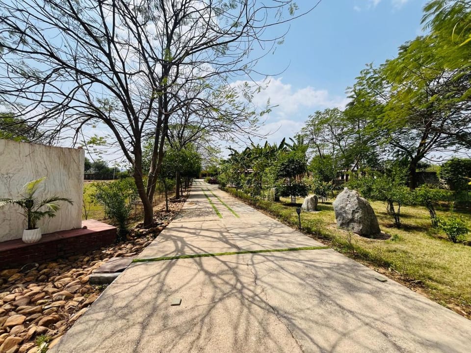 Alampat Nest Resort in Rajasthan