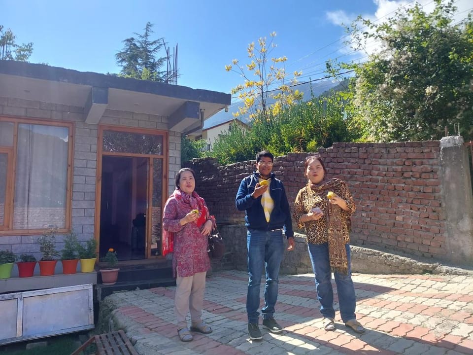 Nomad Bed & Breakfast Bed and Breakfast in Manali
