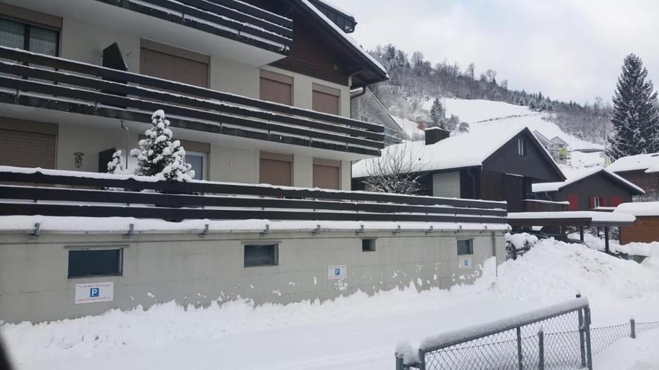 Elfe - Apartments Three-bedroom Apartment for 6 guests with patio Apartment in Nidwalden