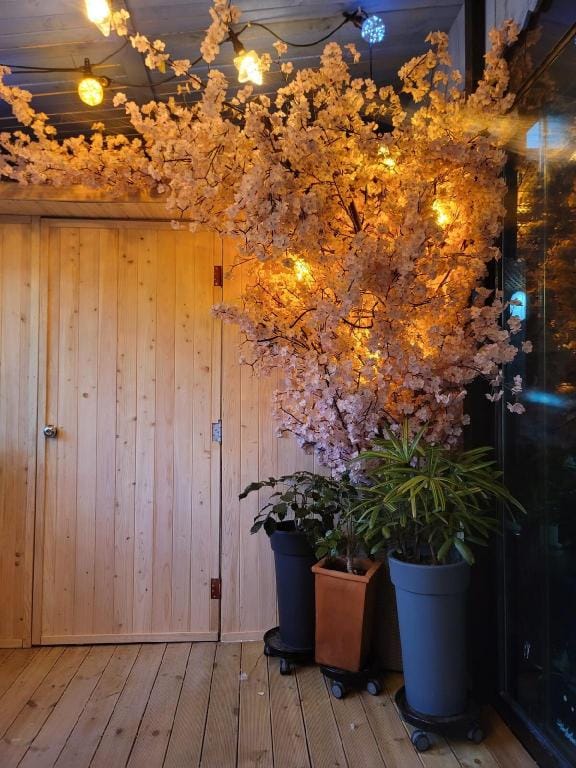 Helios Vacation rental in South Korea