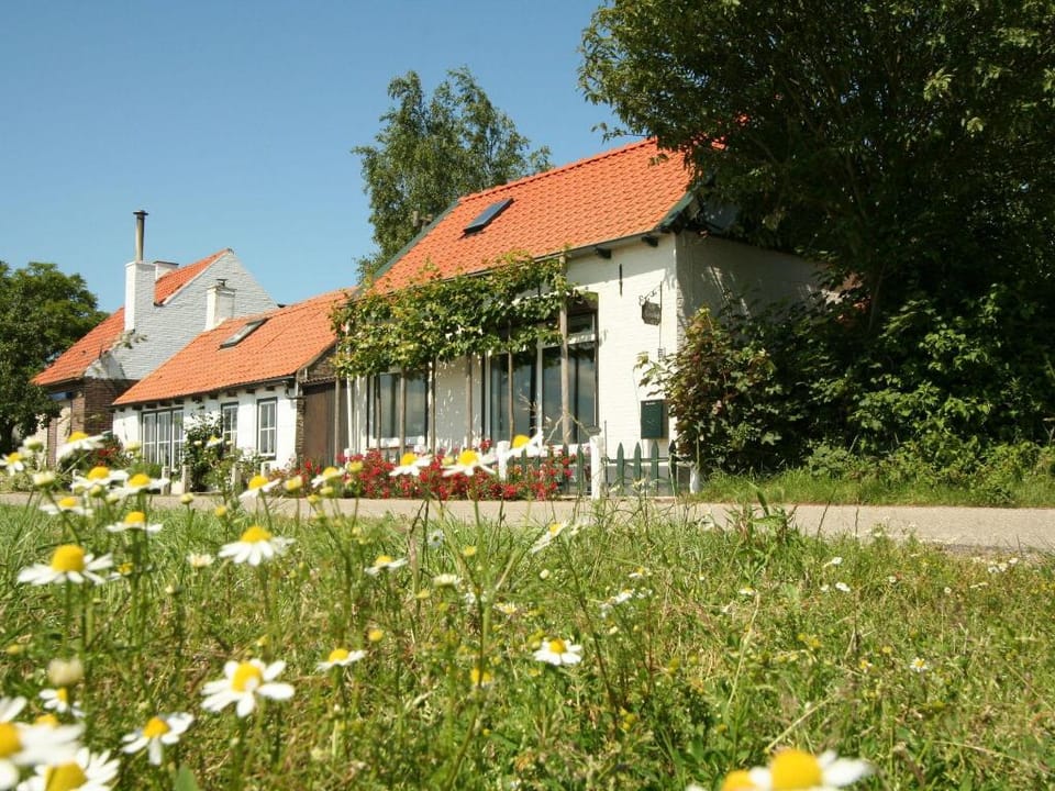 Dike House in Schoondijke near Beaches Vacation rental in Zeeland, Netherlands