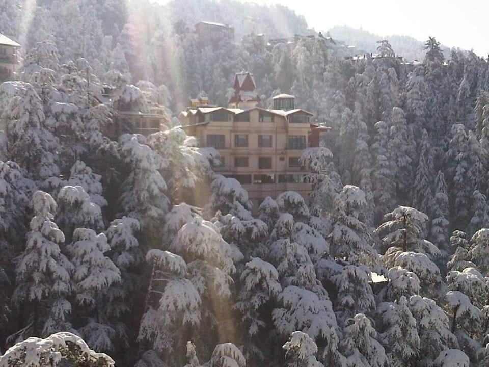 The Bodhi Tree BNB Hotel in Himachal Pradesh