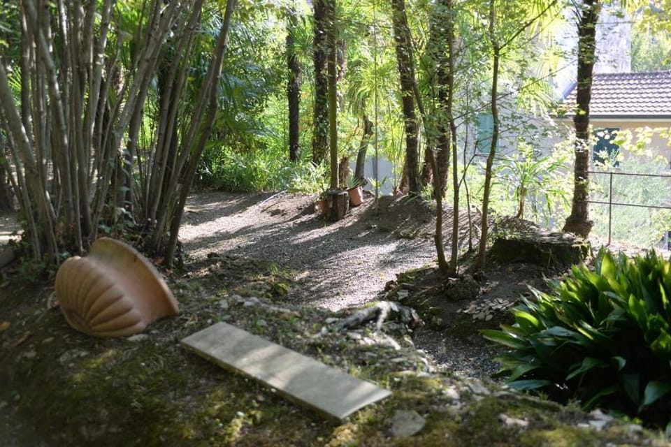 Casale Amati Le Macine, AnfiteatroLuni&CinqueTerre Vacation rental in Province of Massa and Carrara